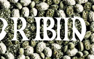 Various hemp seeds broken open to reveal the key components or nutrients inside