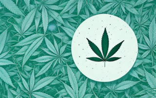 A cannabis plant surrounded by a soft