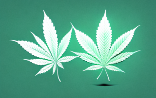 A cannabis leaf with a chemical structure symbolizing thc (tetrahydrocannabinol) superimposed on it