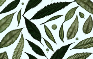 Various hemp textile products such as shirts