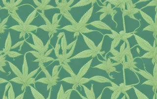 A hemp plant intertwined with threads and fabrics