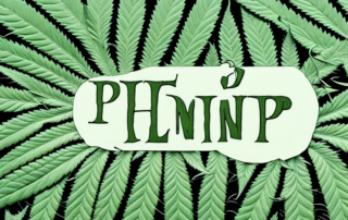 Various types of hemp plants with distinct characteristics