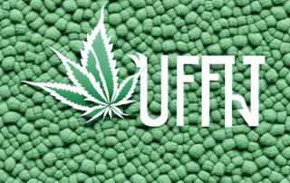A sustainable building being insulated with hemp (hanf)