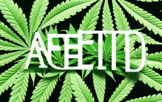 A few hemp oil capsules surrounded by hemp leaves