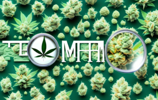 Several different strains of medical marijuana