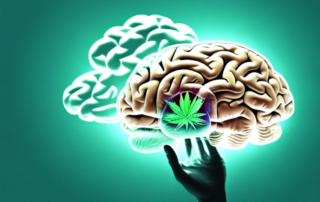 A human brain enveloped in a cloud of cannabis smoke