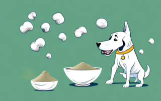 A dog happily playing in a field with a bowl of hemp powder nearby