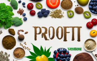 A variety of hemp protein products such as powder