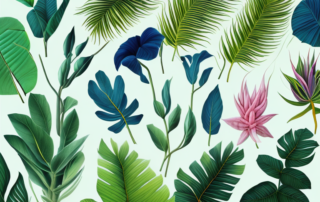 A variety of vibrant and exotic hermaphroditic plants