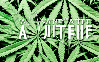 A variety of cannabis cuttings in a pot
