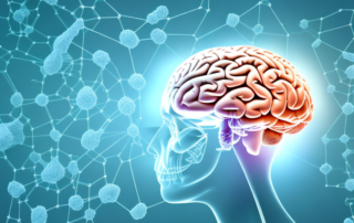 A cbd molecule interacting with a human brain