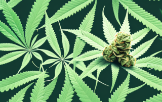 A hemp plant with capsules subtly integrated into its leaves and stems