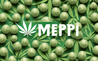 Hemp capsules surrounded by various medicinal plants