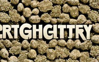 High-quality hemp seeds in a variety of shapes and colors