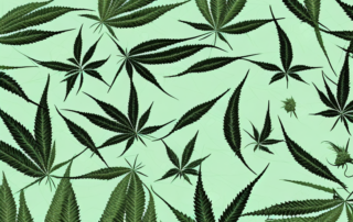 Various hemp products such as textiles