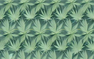 A cannabis plant with its leaves subtly transforming into soothing waves
