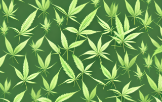 A hemp plant in detail