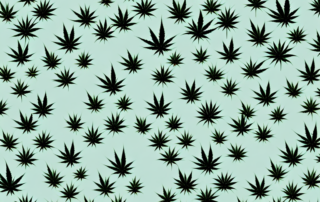 Various alternative plants to cannabis