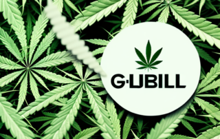 A cannabidiol (cbd) gel tube surrounded by various natural elements like hemp leaves