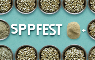 A variety of hemp seeds being soaked in water