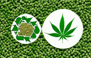 Organic hemp seeds sprouting in a lush green field