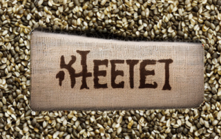 A variety of unshelled hemp seeds in a rustic burlap sack