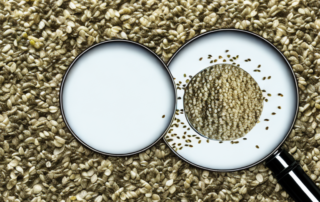 A magnifying glass examining a pile of hemp seeds