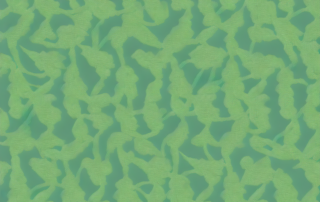 A hemp plant intertwined with a fabric roll