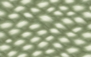 Several rolls of hemp jersey fabric in different natural shades