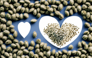 A pile of hemp seeds surrounded by various symbols of health