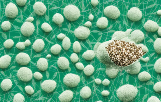 Hemp seeds scattered around