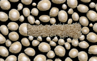 A handful of unshelled hemp seeds