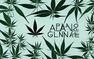 A cannabis plant with distinguishable male and female characteristics