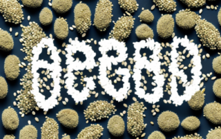 Hemp seeds scattered around