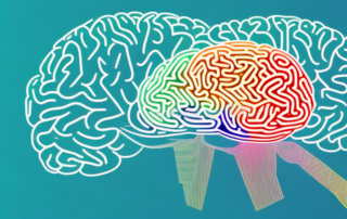 A brain with colorful