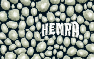 Hemp seeds scattered around