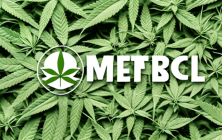 A variety of medicinal herbs including hemp leaves