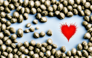 A variety of hemp seeds in a small pile