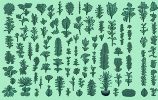 Various types of plants at different stages of growth with visible cut marks