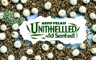 A variety of delicious dishes and snacks made from unshelled hemp seeds