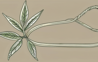 A hemp plant intertwined with a spool of thread