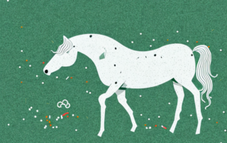 A horse peacefully grazing on some hemp pellets scattered on the ground