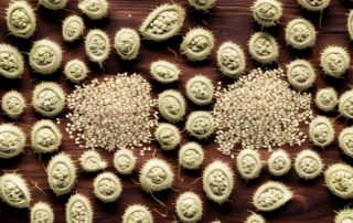 Several unpeeled hemp seeds scattered on a natural wooden surface