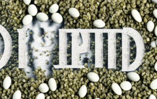 A variety of hemp seeds opened up to reveal their key components or nutrients