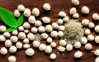 A handful of hemp seeds scattered on a wooden table