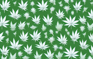 Several distinct types of cannabis flowers