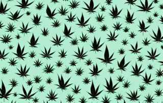 Various alternative plants to cannabis in a garden setting