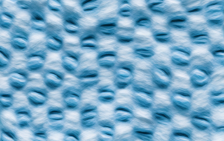 Various types of fibers such as cotton
