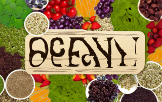 Organic hemp seeds scattered over a vibrant salad