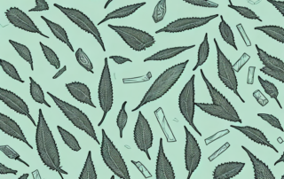 Various hemp products such as clothing